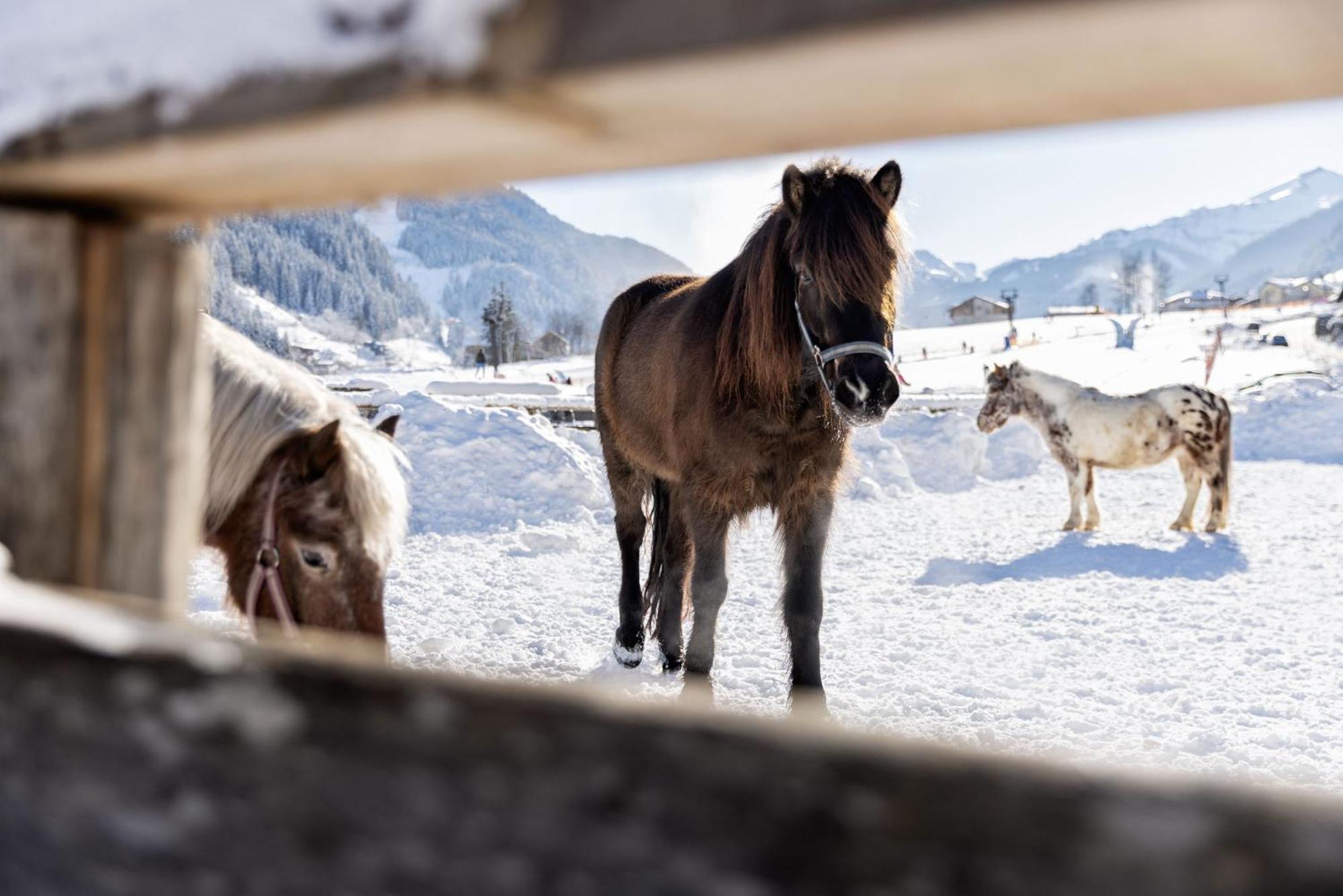 Feriendorf Holzlebn グロースアルル エクステリア 写真