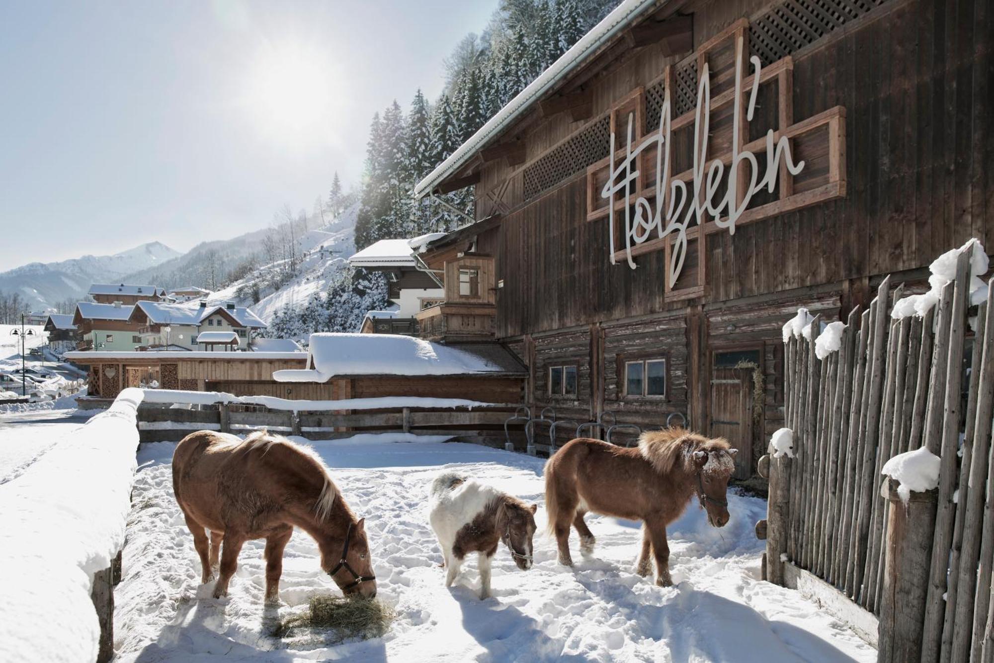 Feriendorf Holzlebn グロースアルル エクステリア 写真