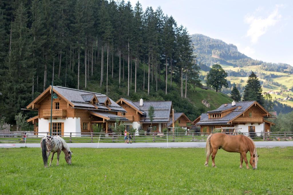 Feriendorf Holzlebn グロースアルル エクステリア 写真